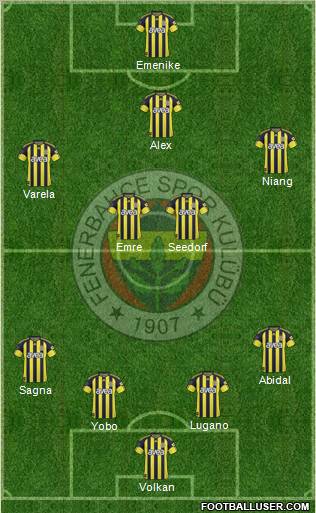 Fenerbahçe SK Formation 2011