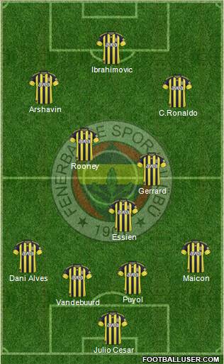 Fenerbahçe SK Formation 2011