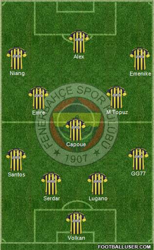 Fenerbahçe SK Formation 2011