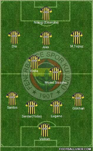 Fenerbahçe SK Formation 2011