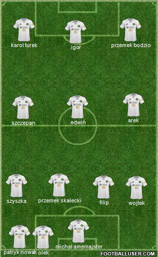 Gornik Leczna Formation 2011