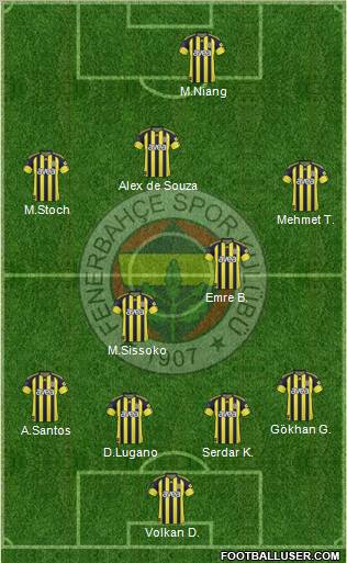Fenerbahçe SK Formation 2011