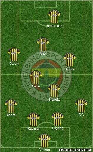 Fenerbahçe SK Formation 2011