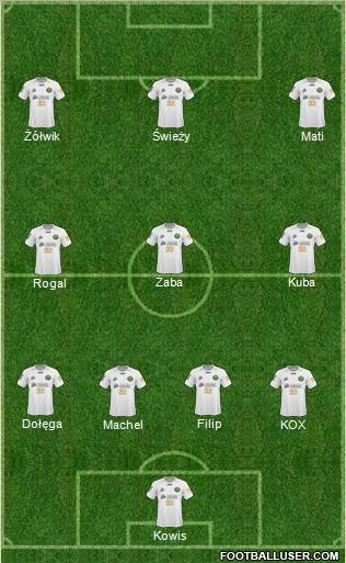 Gornik Leczna Formation 2011