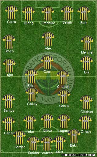 Fenerbahçe SK Formation 2011