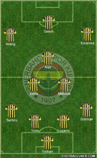 Fenerbahçe SK Formation 2011