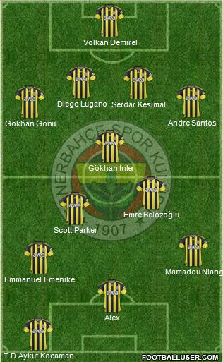 Fenerbahçe SK Formation 2011