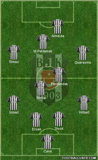 Besiktas JK Formation 2011