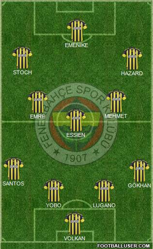 Fenerbahçe SK Formation 2011