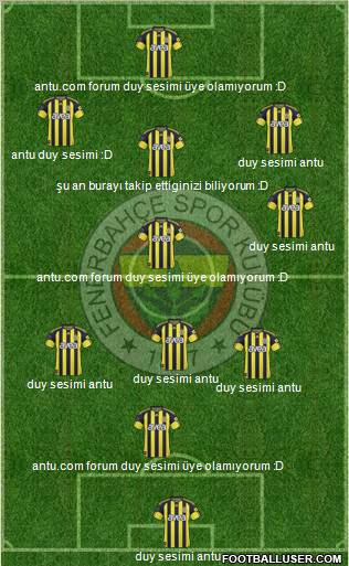 Fenerbahçe SK Formation 2011