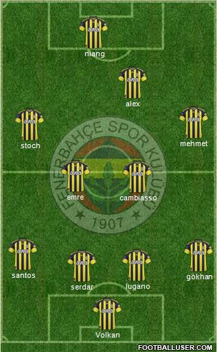 Fenerbahçe SK Formation 2011