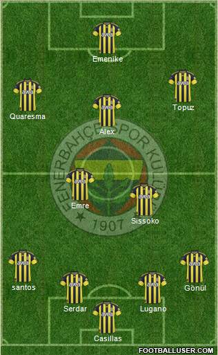 Fenerbahçe SK Formation 2011