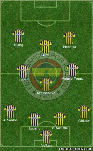 Fenerbahçe SK Formation 2011