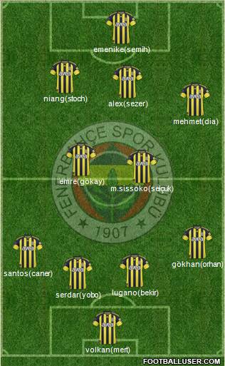 Fenerbahçe SK Formation 2011