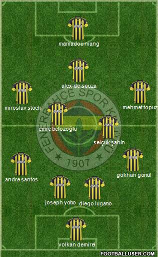 Fenerbahçe SK Formation 2011