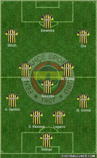 Fenerbahçe SK Formation 2011