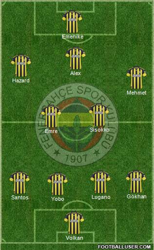 Fenerbahçe SK Formation 2011