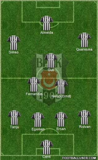 Besiktas JK Formation 2011