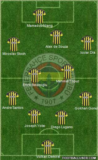 Fenerbahçe SK Formation 2011