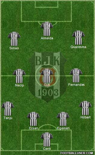 Besiktas JK Formation 2011