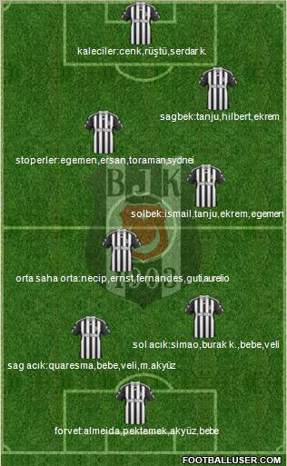 Besiktas JK Formation 2011