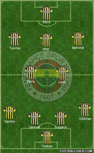Fenerbahçe SK Formation 2011