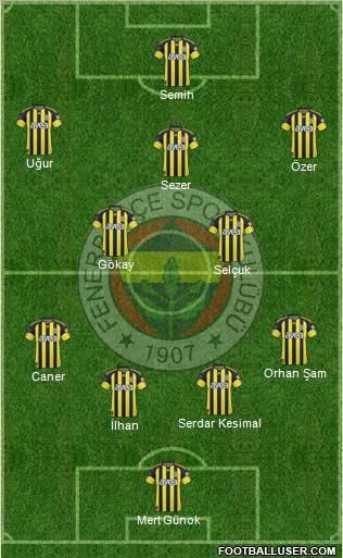 Fenerbahçe SK Formation 2011