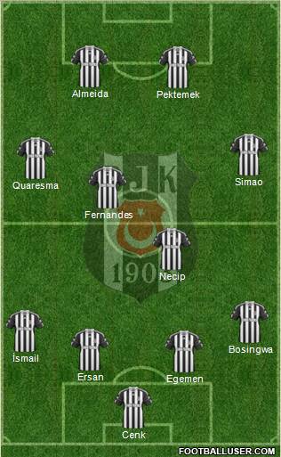 Besiktas JK Formation 2011