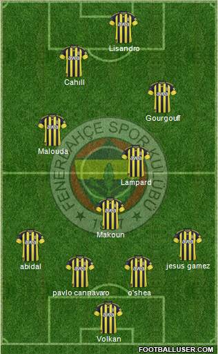 Fenerbahçe SK Formation 2011