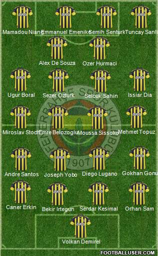 Fenerbahçe SK Formation 2011