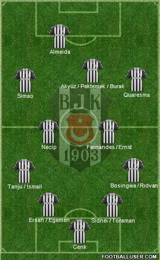 Besiktas JK Formation 2011