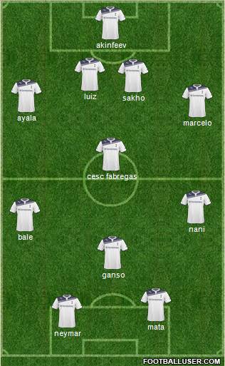 Tottenham Hotspur Formation 2011