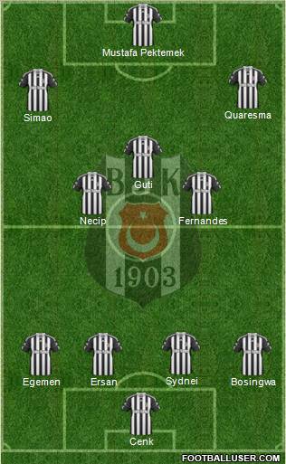 Besiktas JK Formation 2011