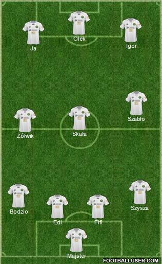 Gornik Leczna Formation 2011