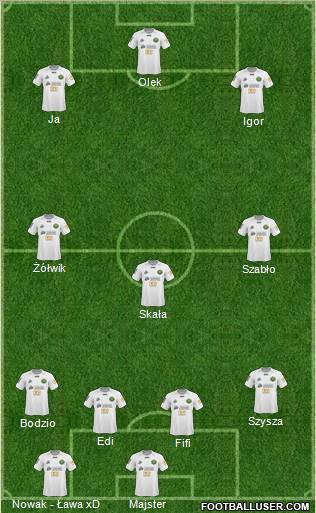Gornik Leczna Formation 2011