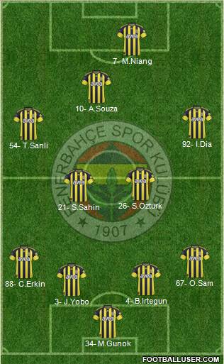 Fenerbahçe SK Formation 2011