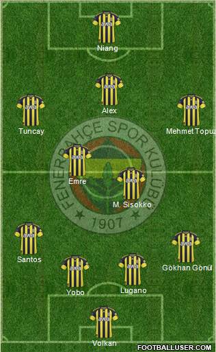 Fenerbahçe SK Formation 2011
