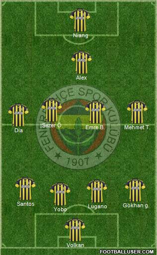 Fenerbahçe SK Formation 2011