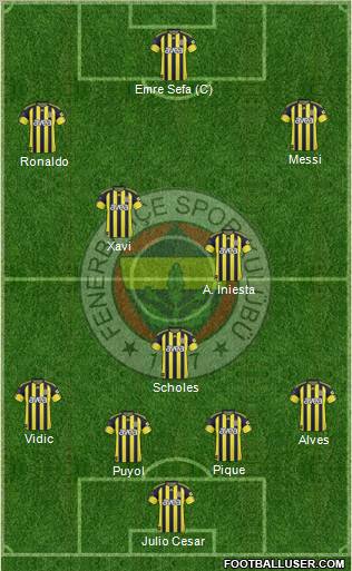 Fenerbahçe SK Formation 2011