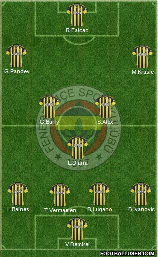 Fenerbahçe SK Formation 2011