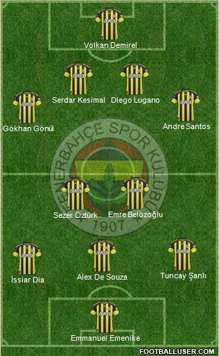 Fenerbahçe SK Formation 2011