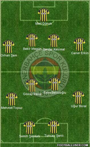Fenerbahçe SK Formation 2011