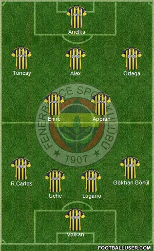 Fenerbahçe SK Formation 2011