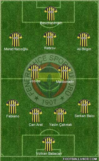 Fenerbahçe SK Formation 2011