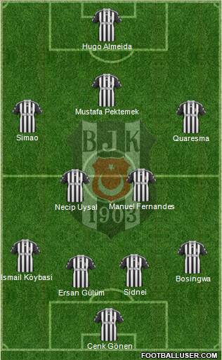 Besiktas JK Formation 2011