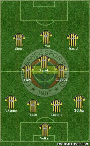 Fenerbahçe SK Formation 2011