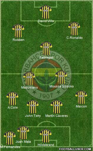 Fenerbahçe SK Formation 2011