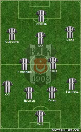 Besiktas JK Formation 2011
