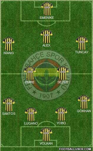 Fenerbahçe SK Formation 2011