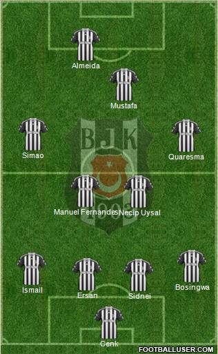 Besiktas JK Formation 2011